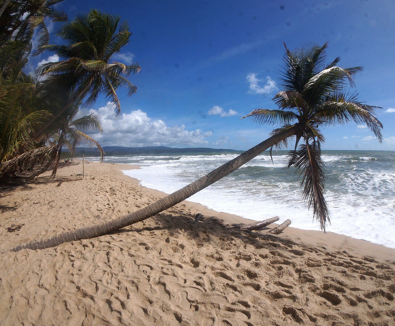 Matura Beach