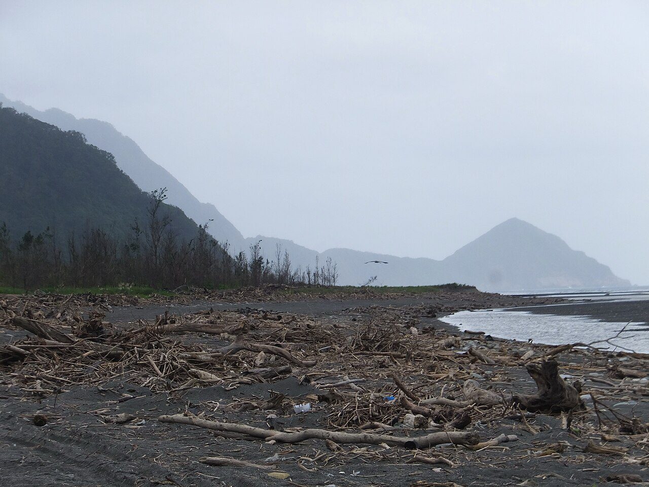 Mystery Beach