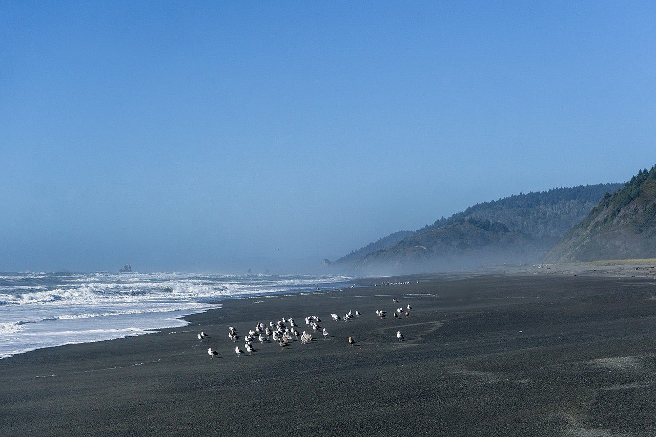 Redwood Creek Beach