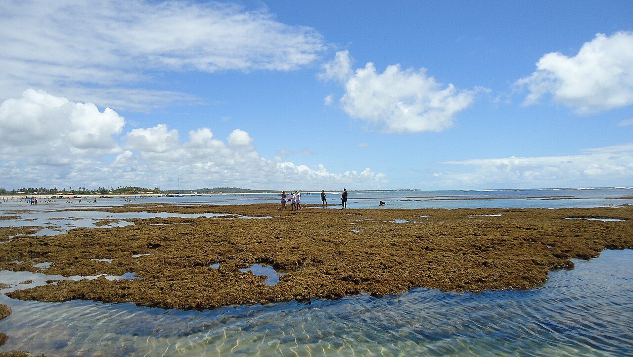 Itacimirim beach