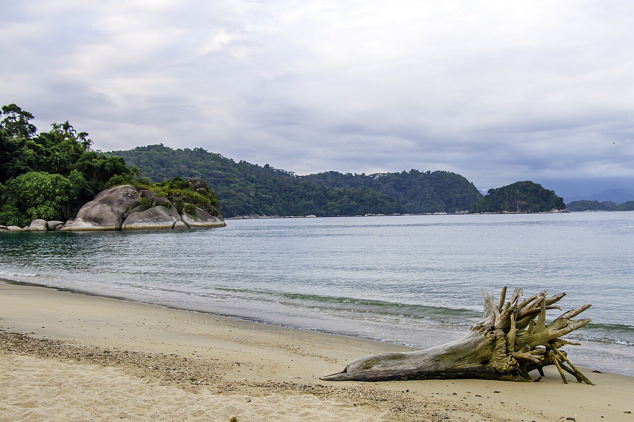 Laboratory Beach