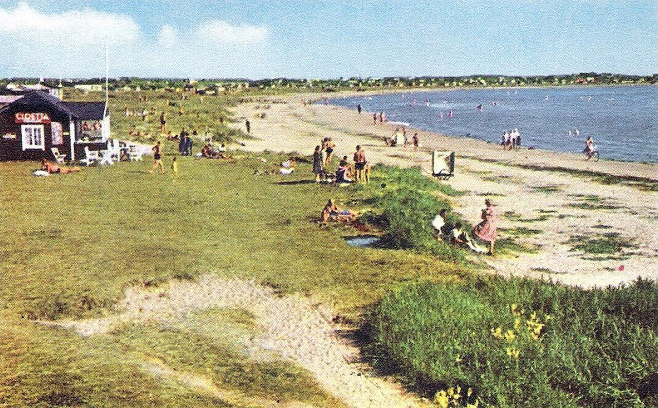 Apelviken