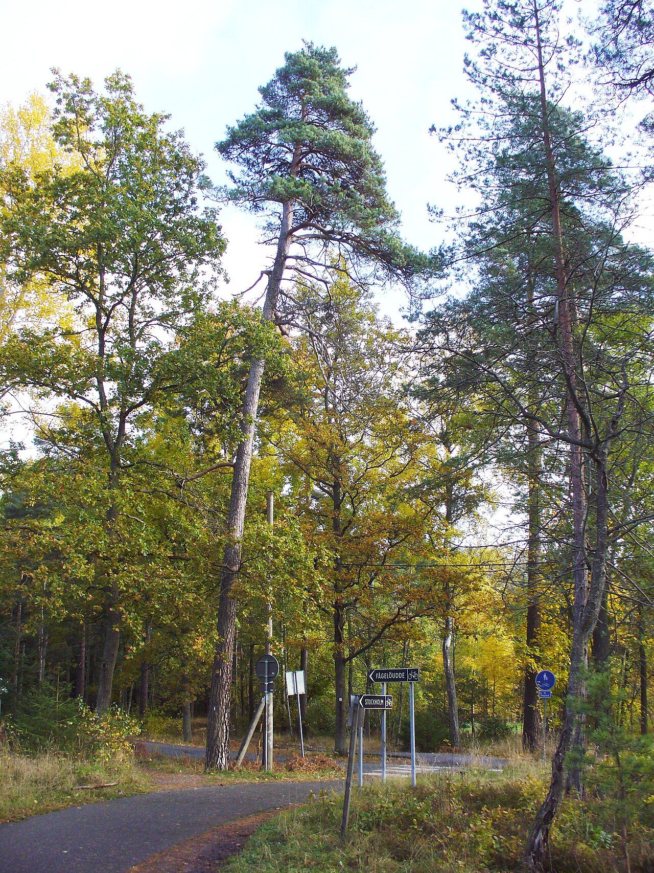 Fågelöuddebadet
