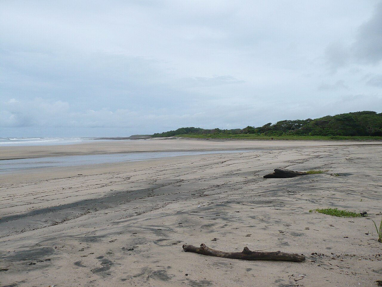 Playa Avellanas