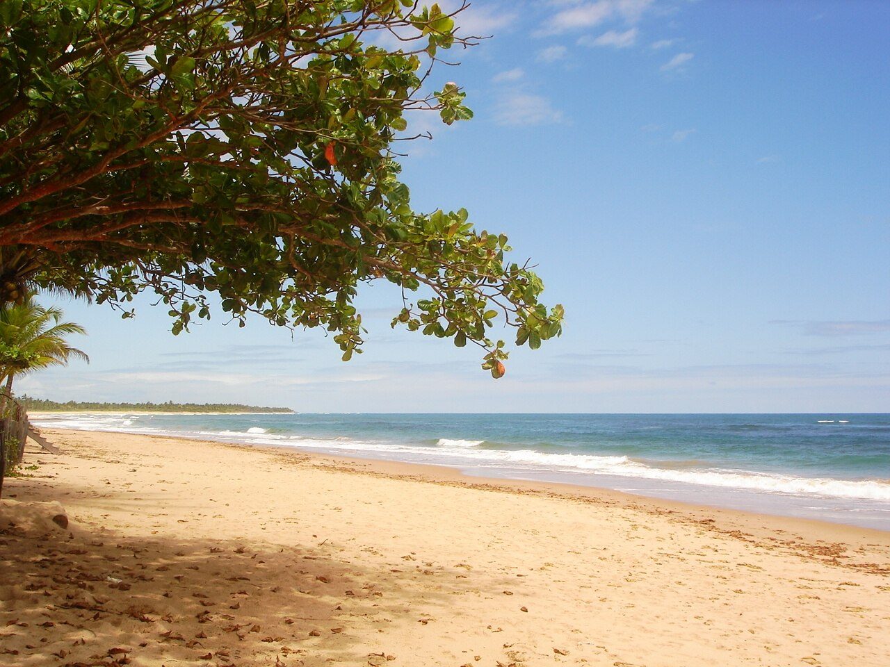 Algodões Beach