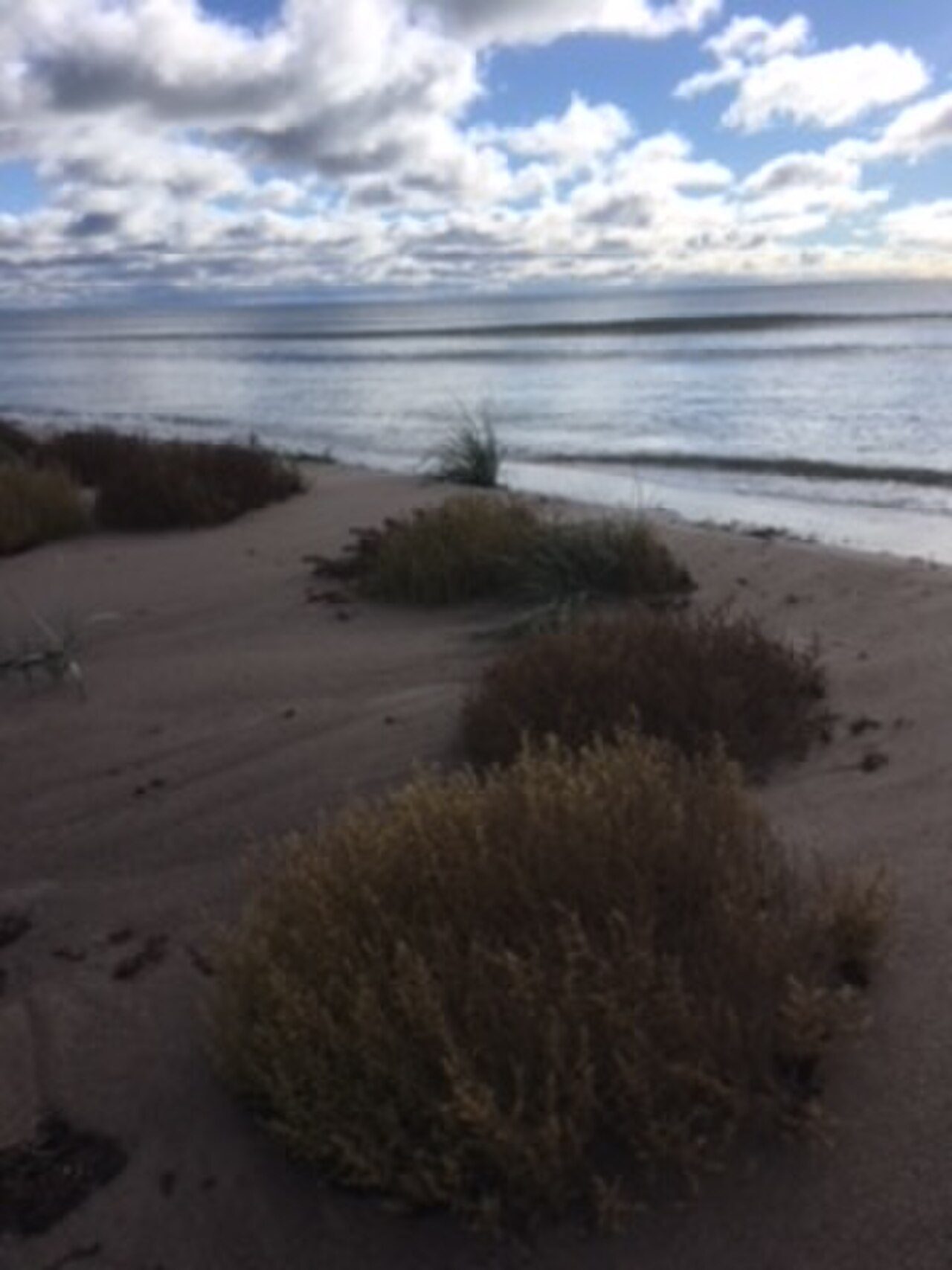 Ardrestranden
