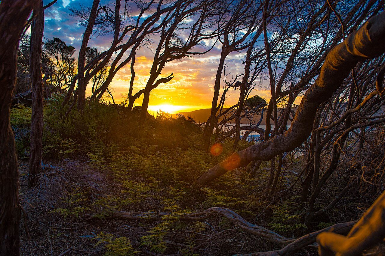 Granite Beach, Tasmania