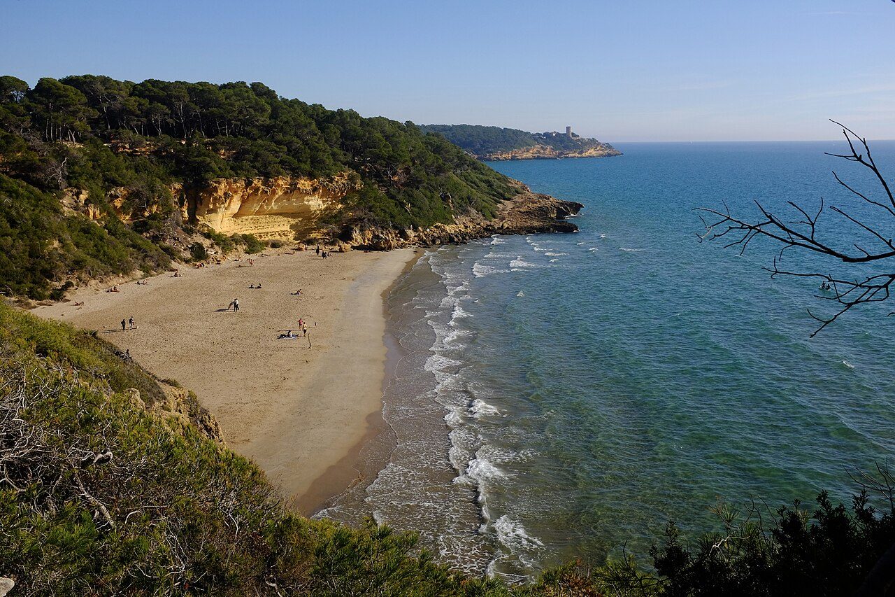 L'Arboçar