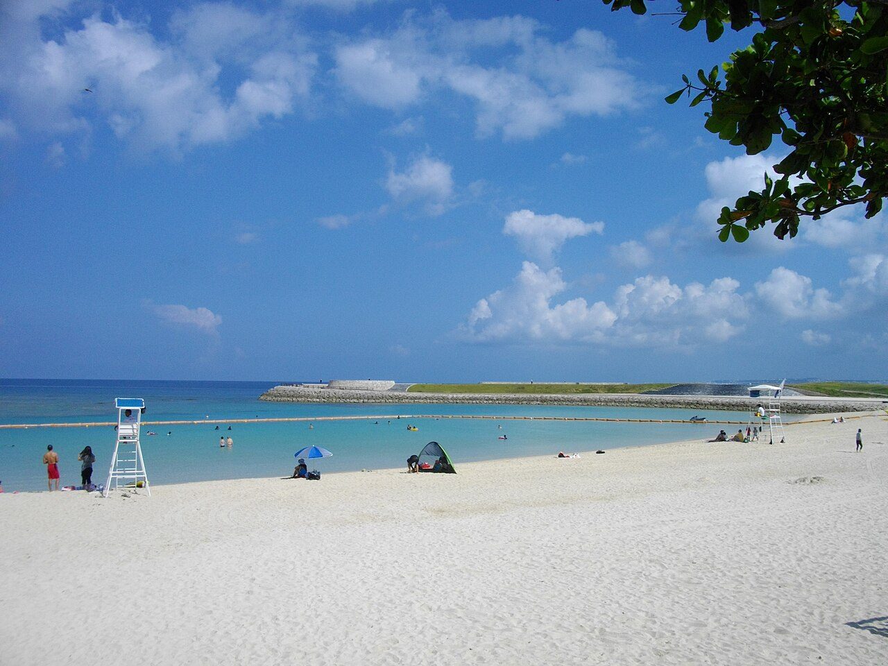 Tropical Beach