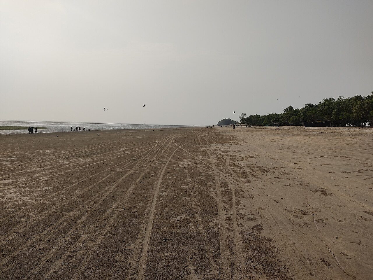 Banshkhali Sea Beach
