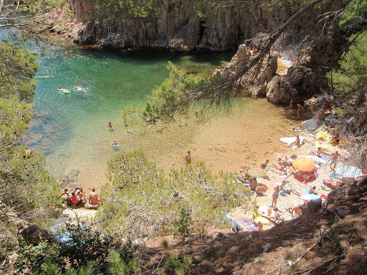 Aigua Xelida