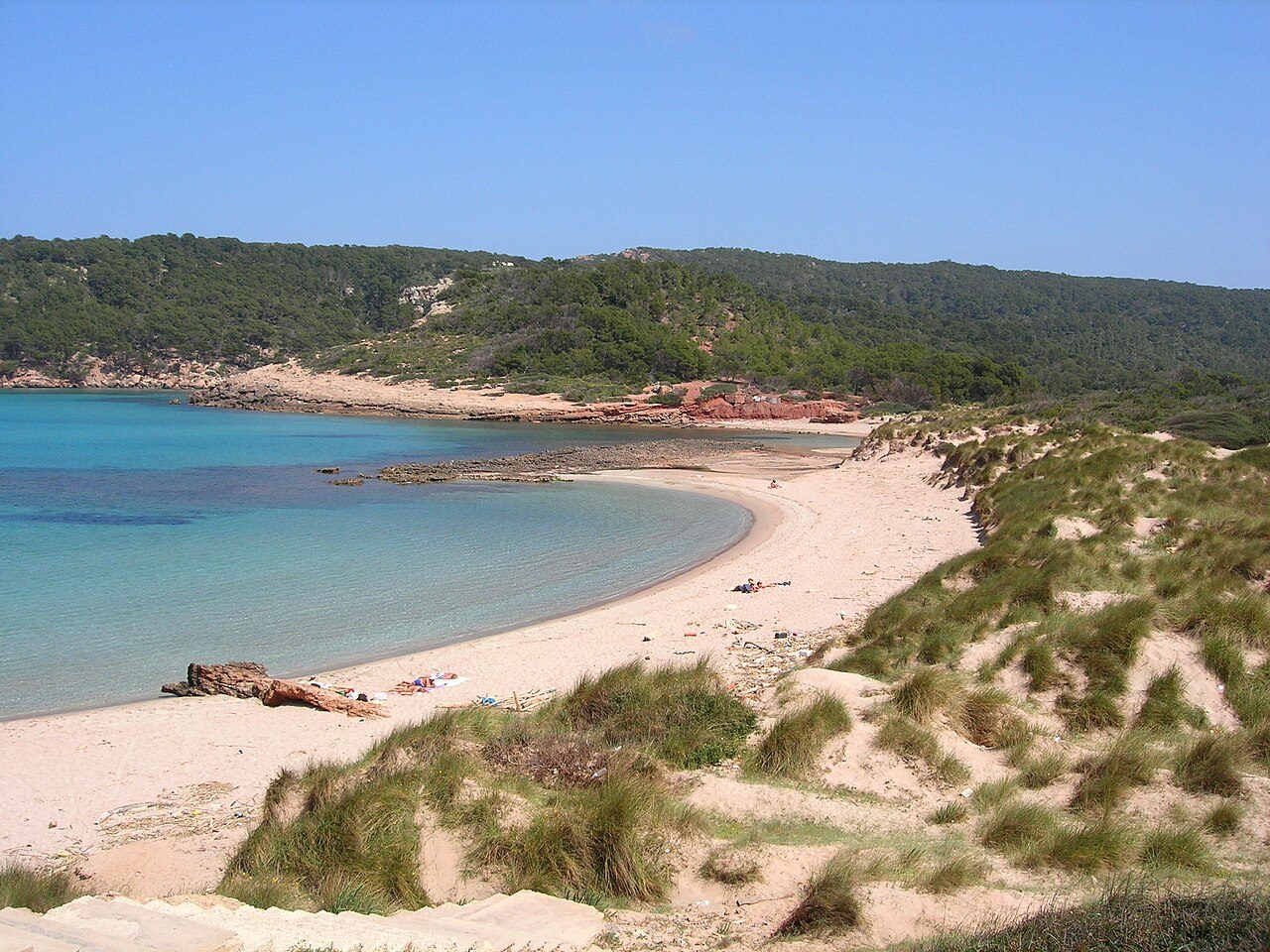 Algaiarens