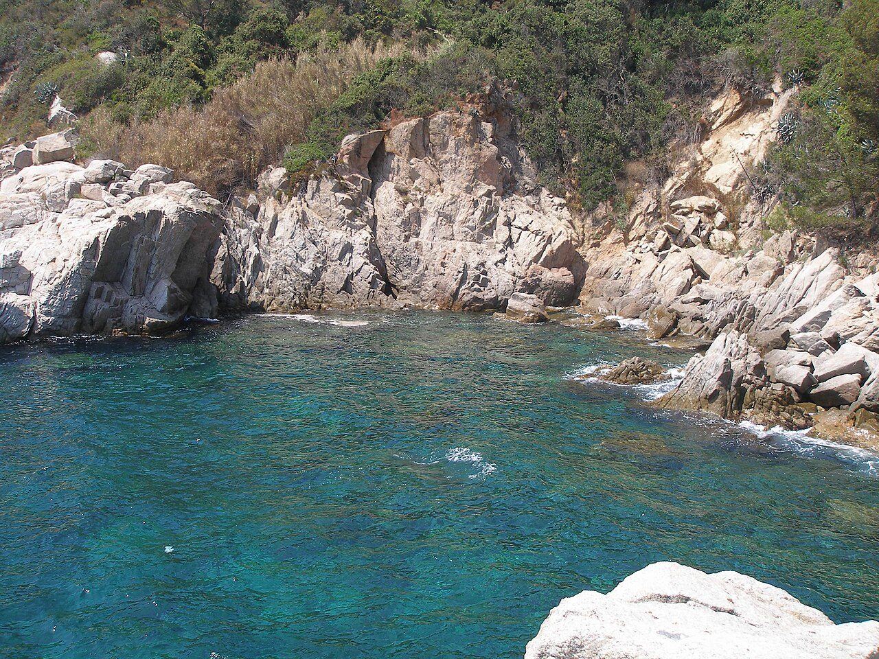 Cala dels Tamarius