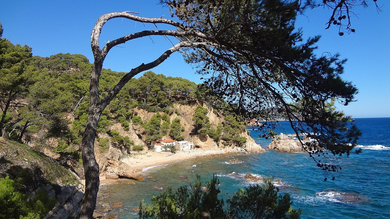 Cala de Crit