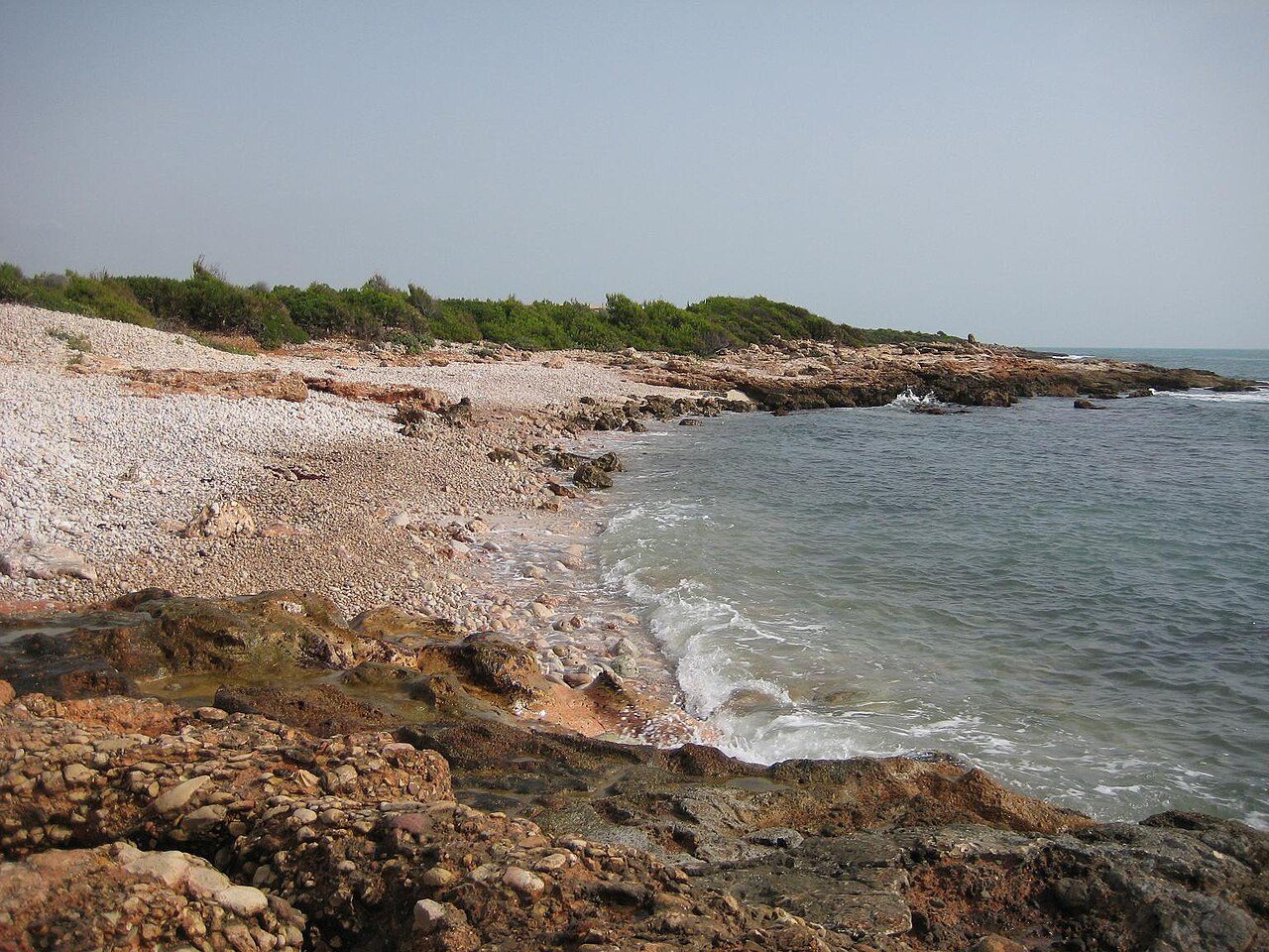 Ribamar