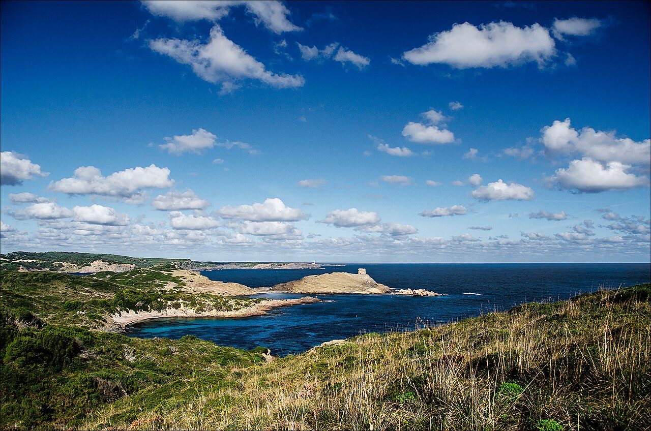 Tamarells del Sud