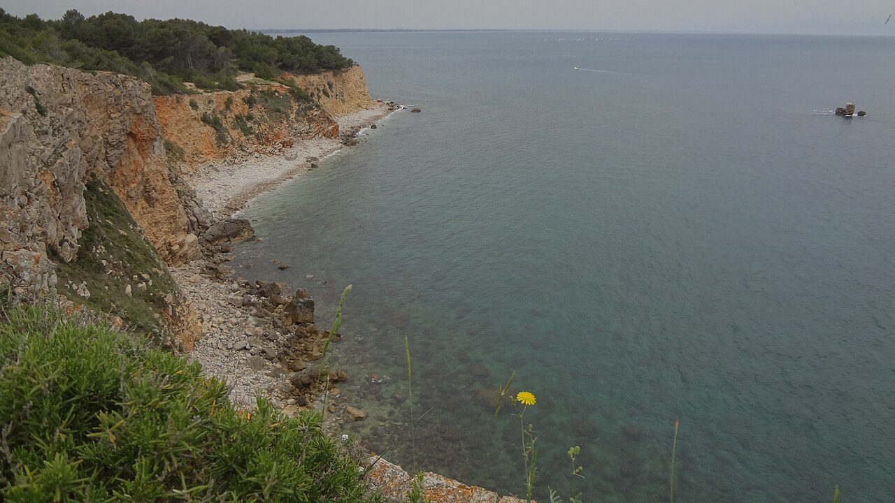 Platja del Salpatx