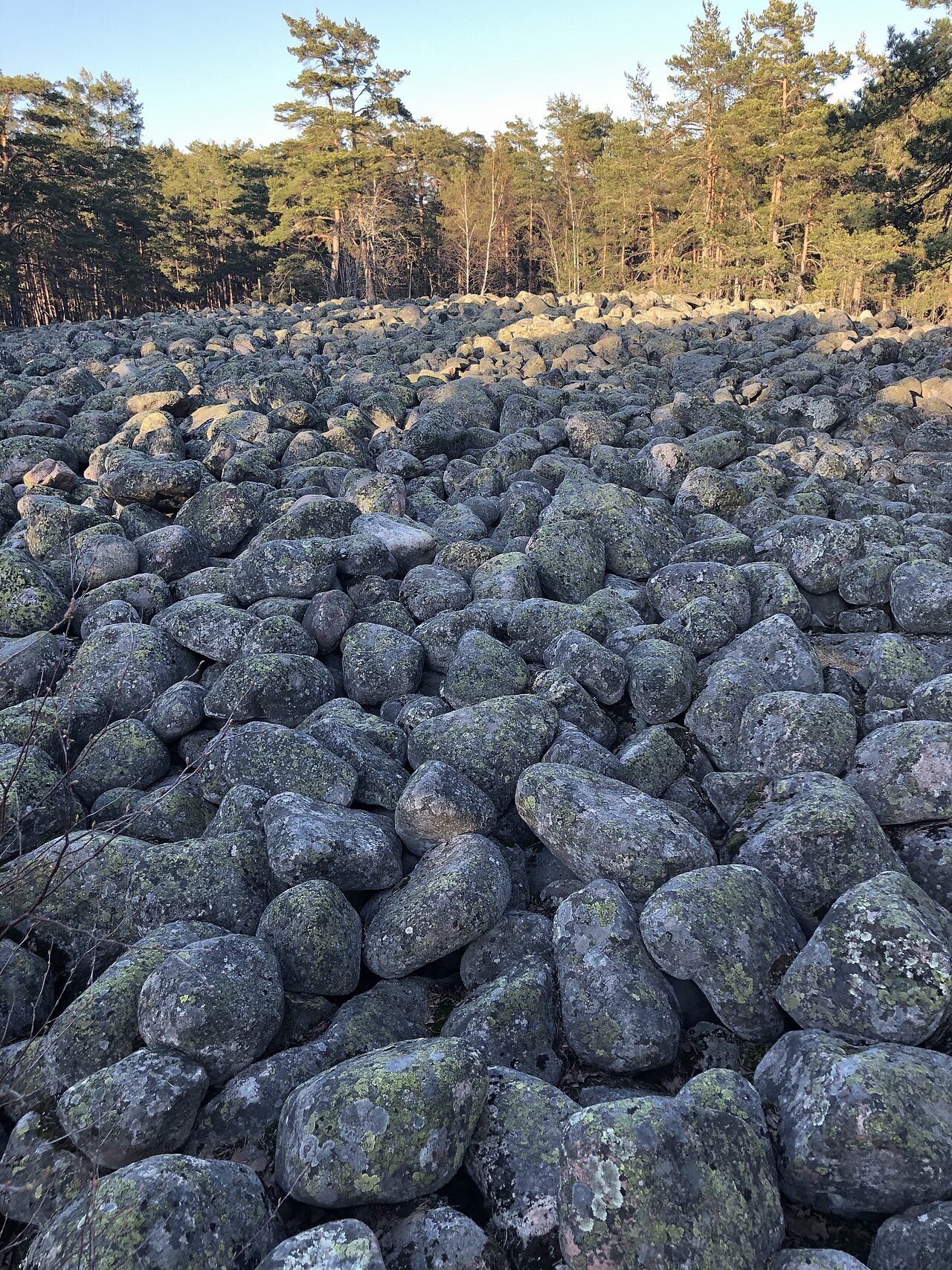 Nunnavuori