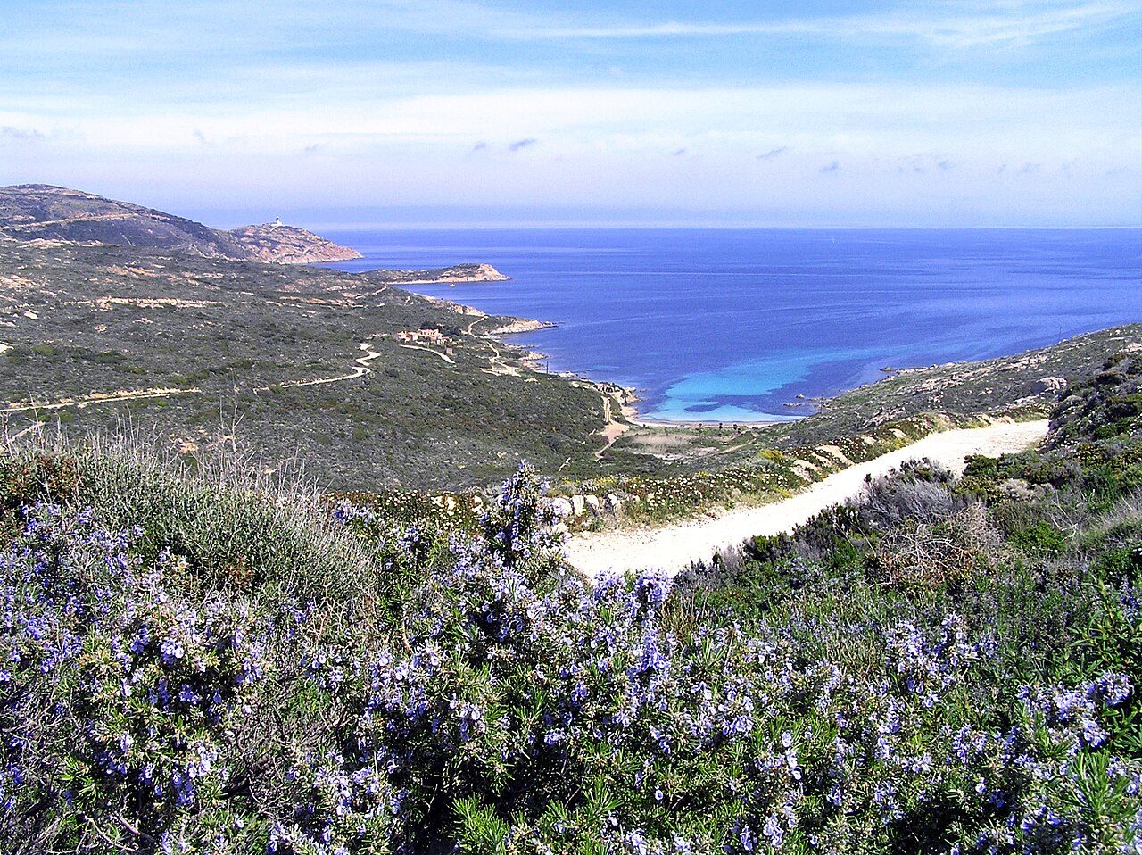Plage de l'Alga