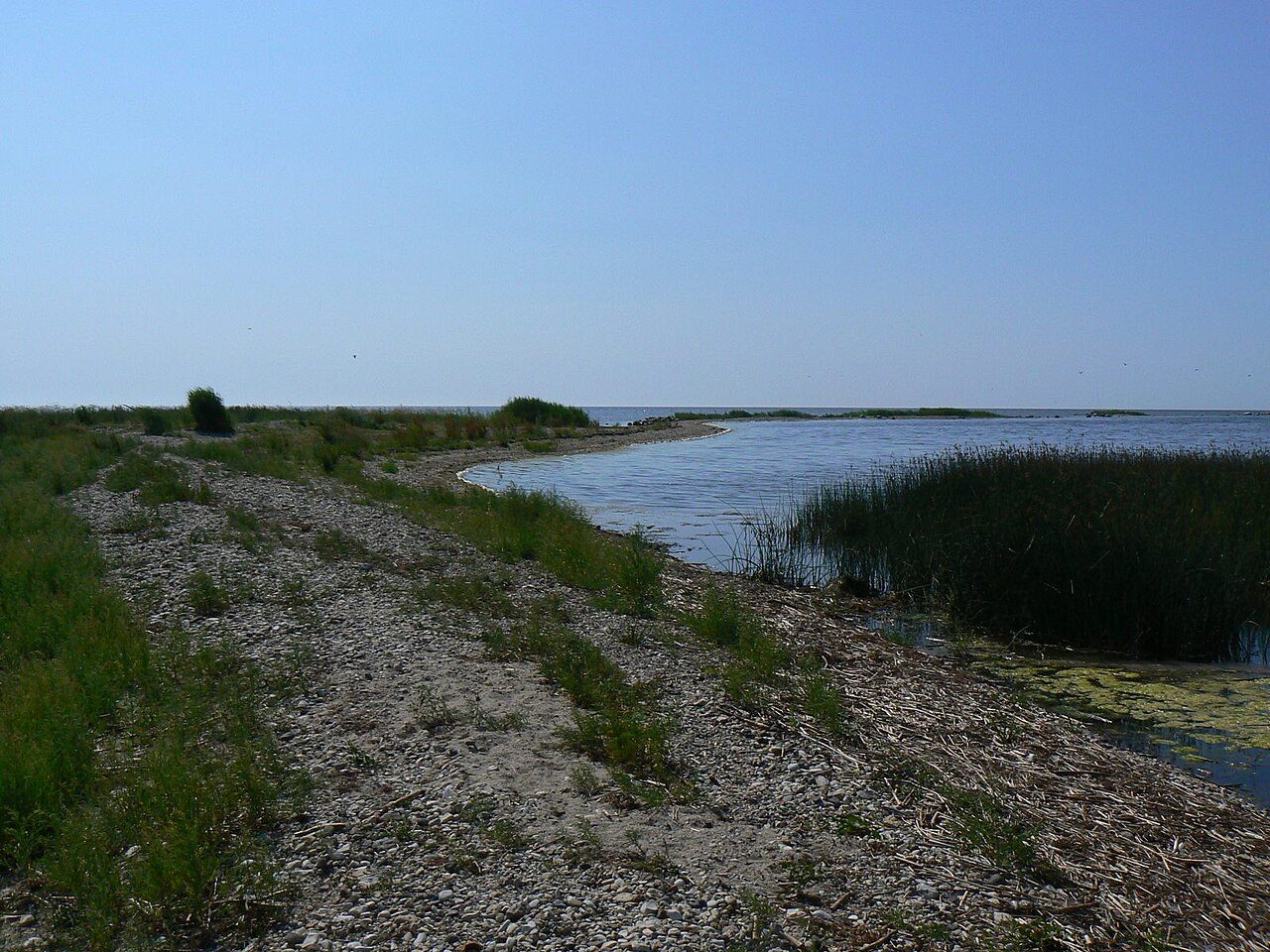 Liu spit