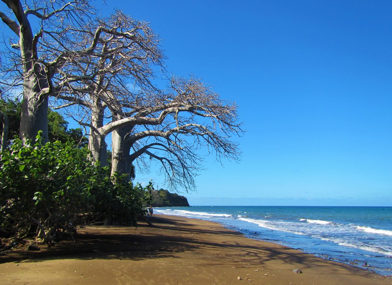 Sakouli Beach