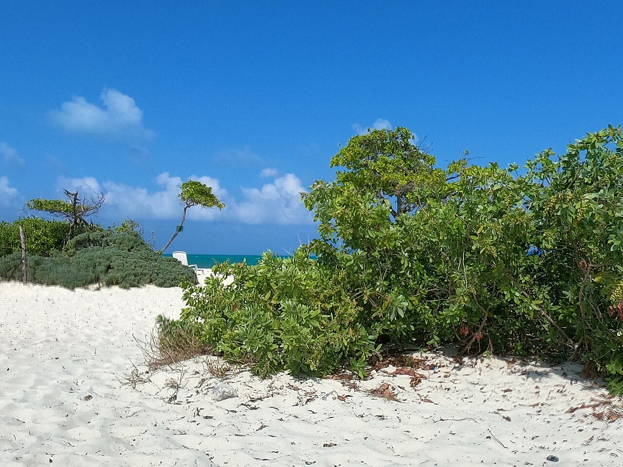 Isla Blanca Beach