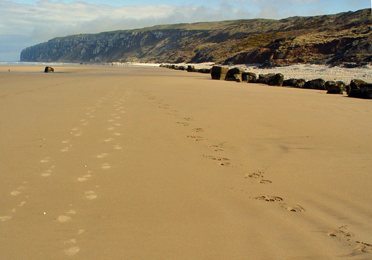 Speeton Sands
