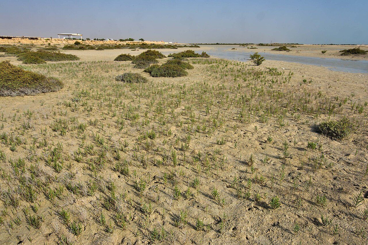 Fuwairit Beach
