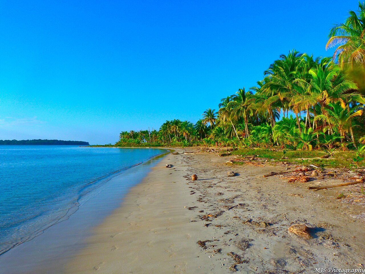 Starfish Beach