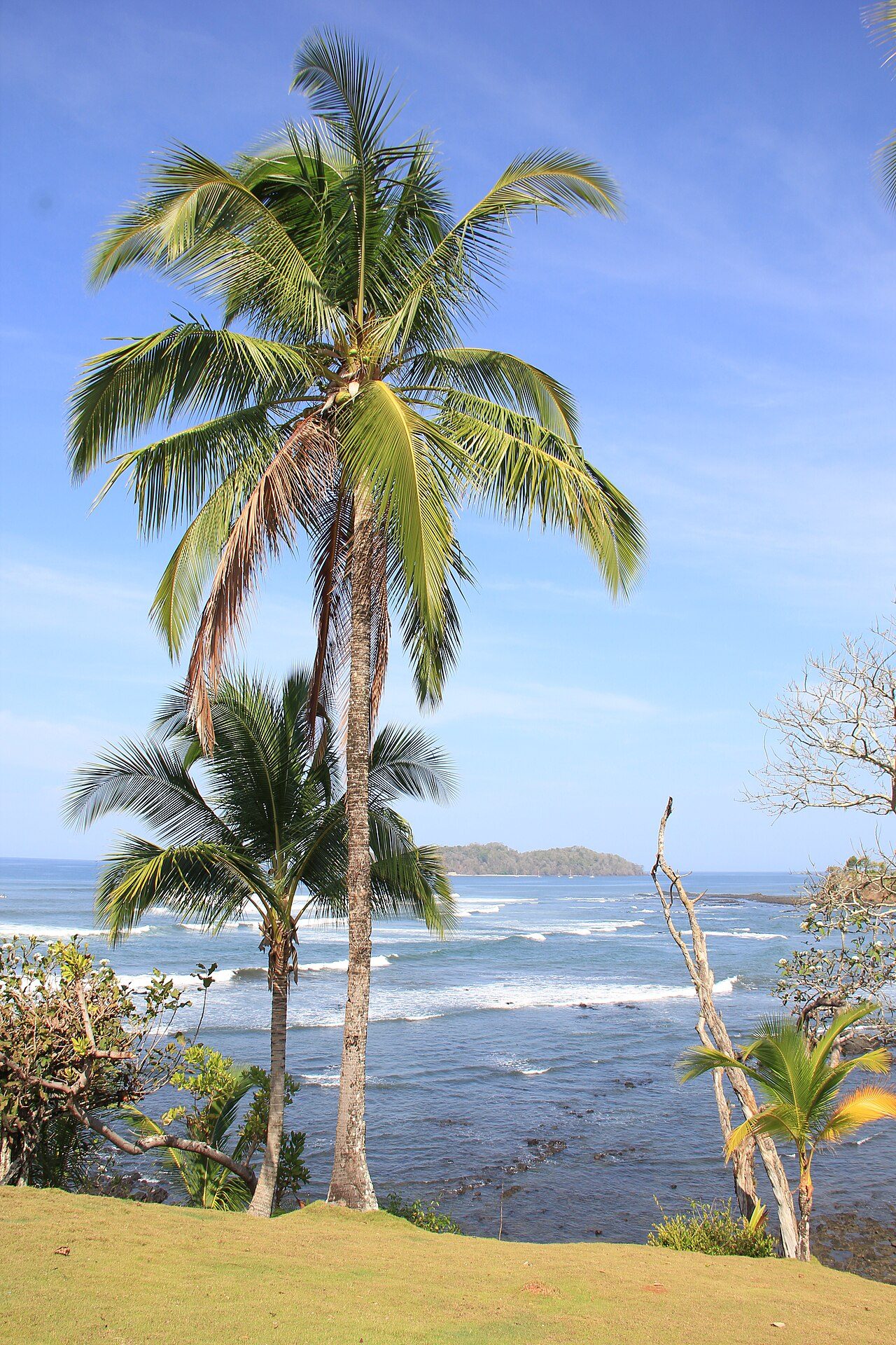 Santa Catalina Beach