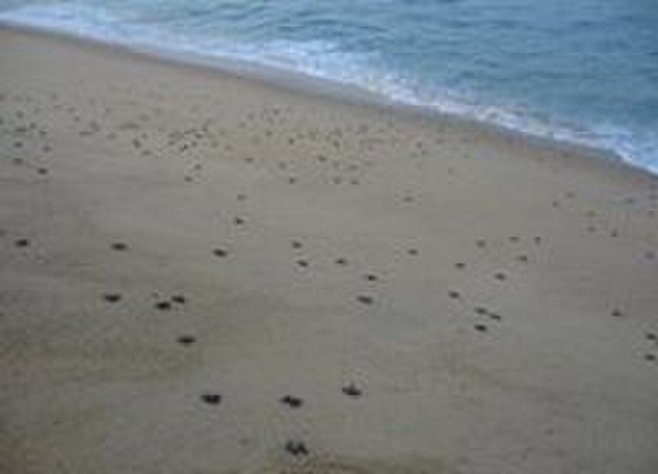 Mayto Beach
