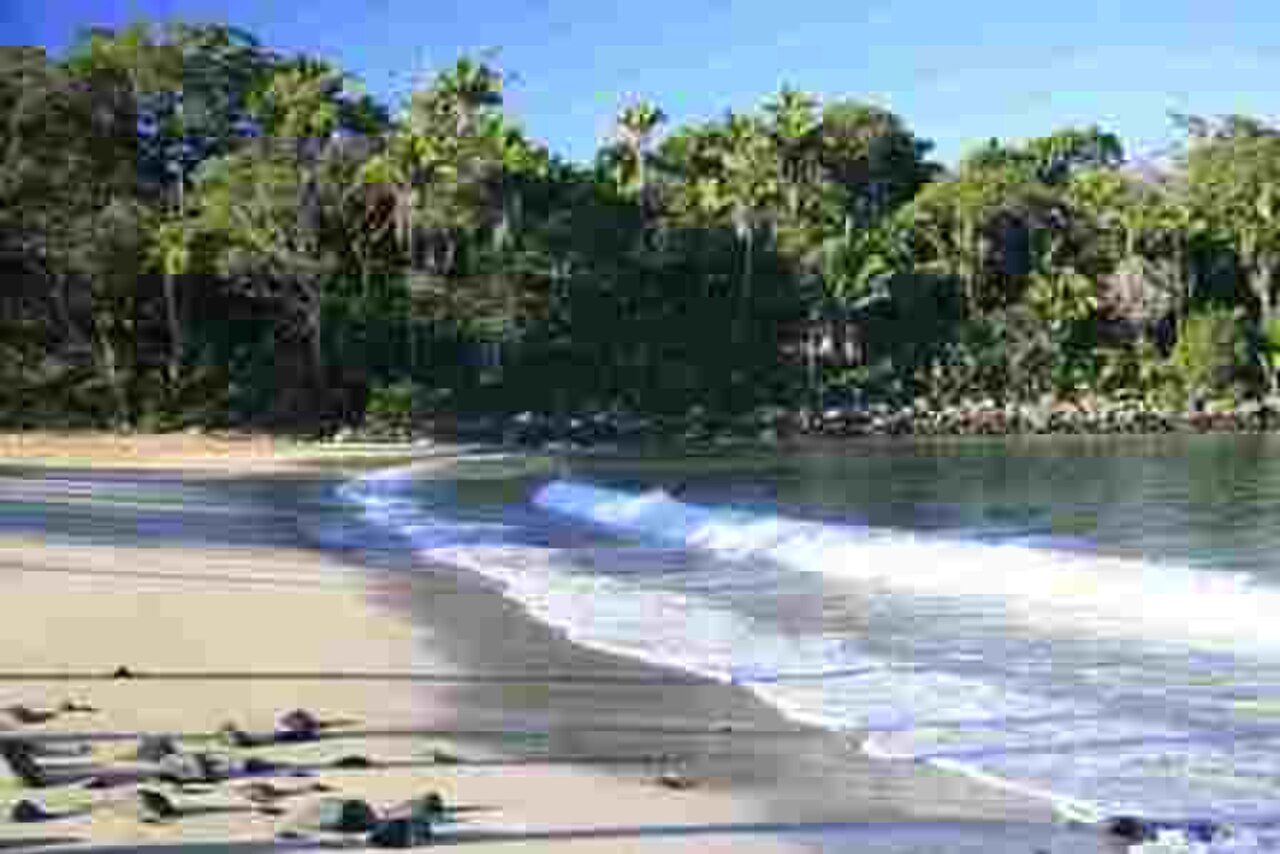 Playa Chacala