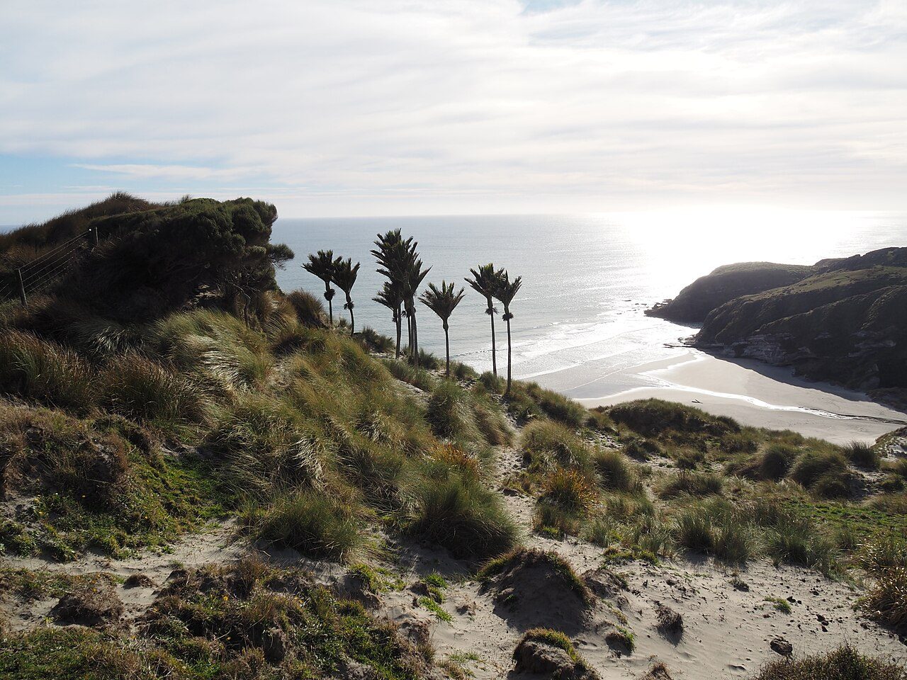 Kaihoka Beach