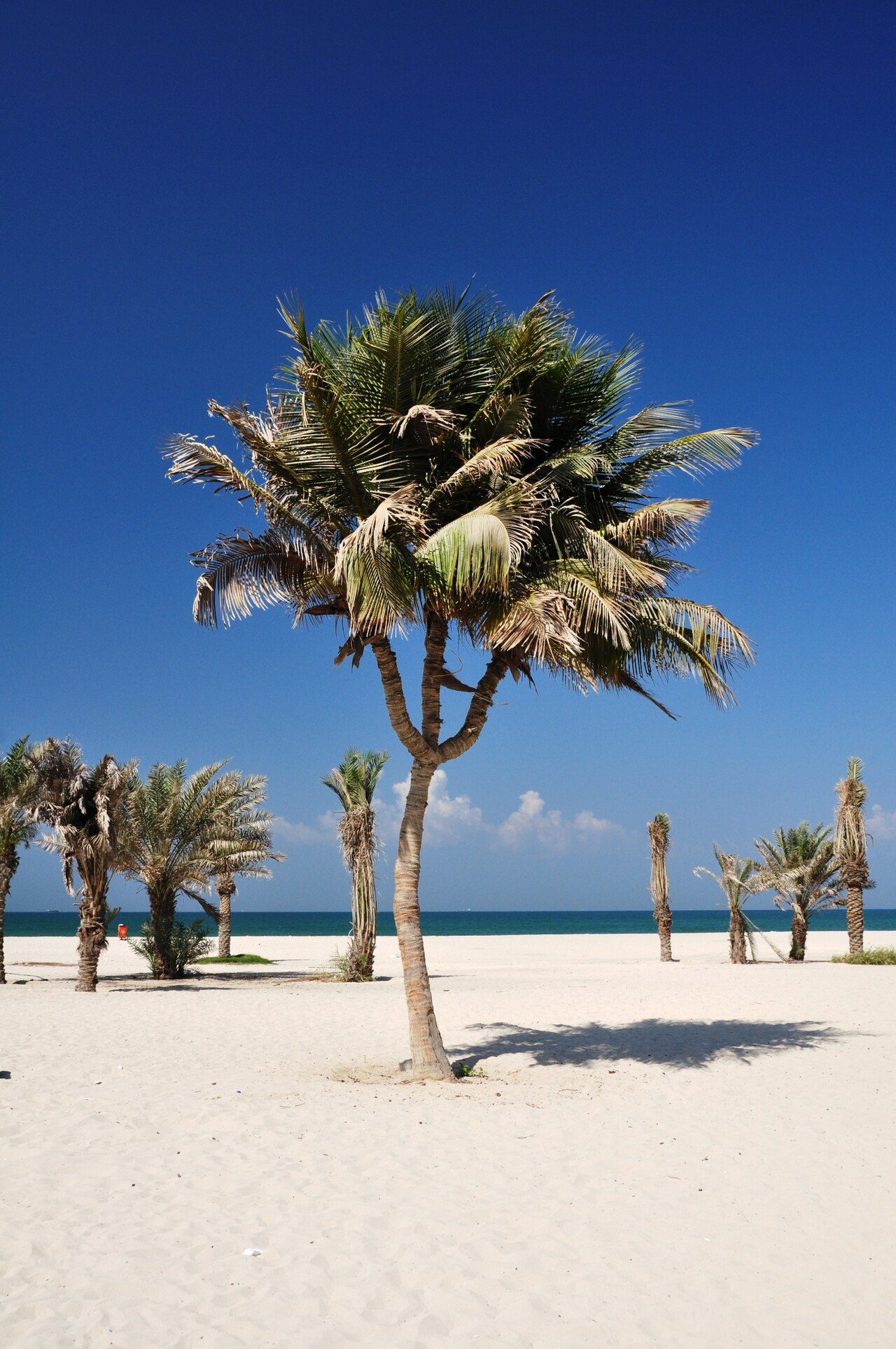 Ajman Beach