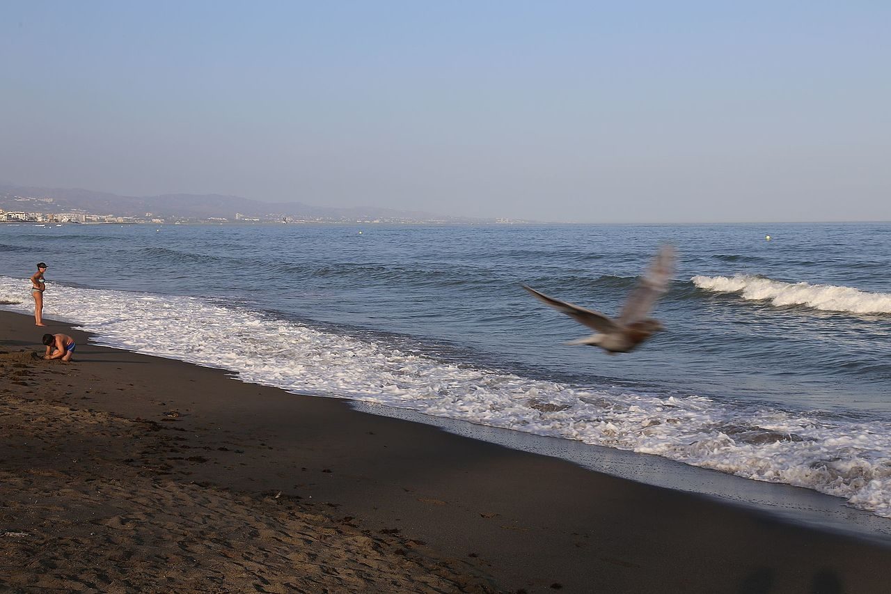 Playa de San Pedro Alcántara