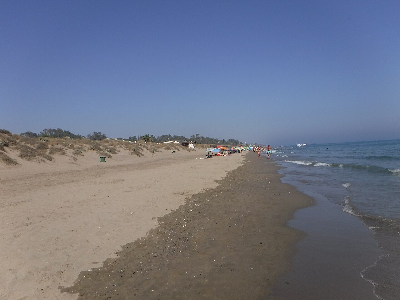 Playa del Alicate