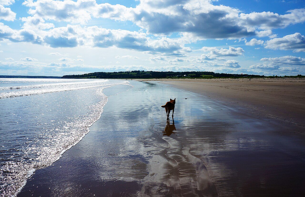 Conrad's Beach