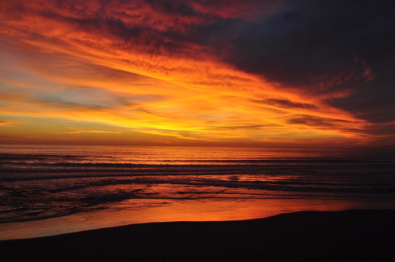 Manresa State Beach