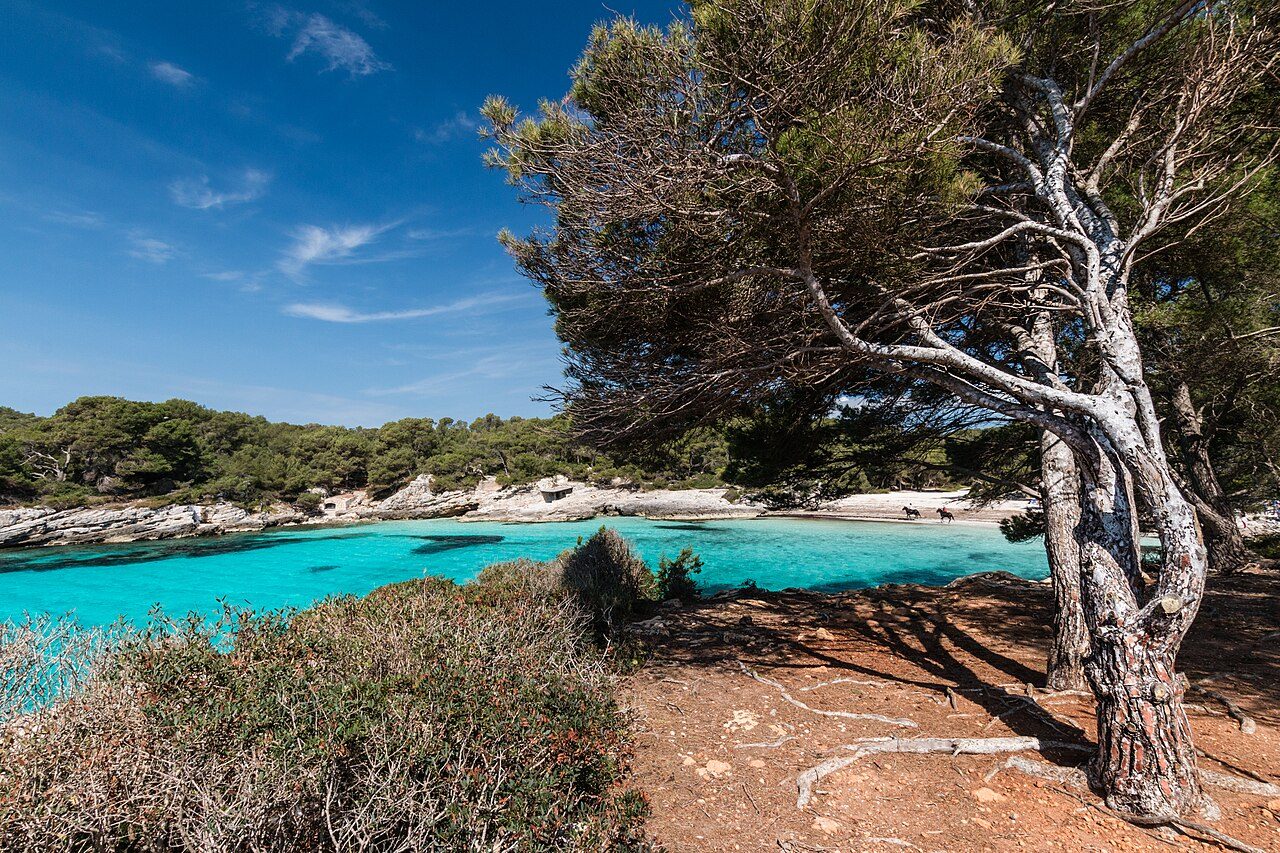 Cala en Turqueta