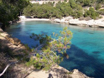 Platja del Rei