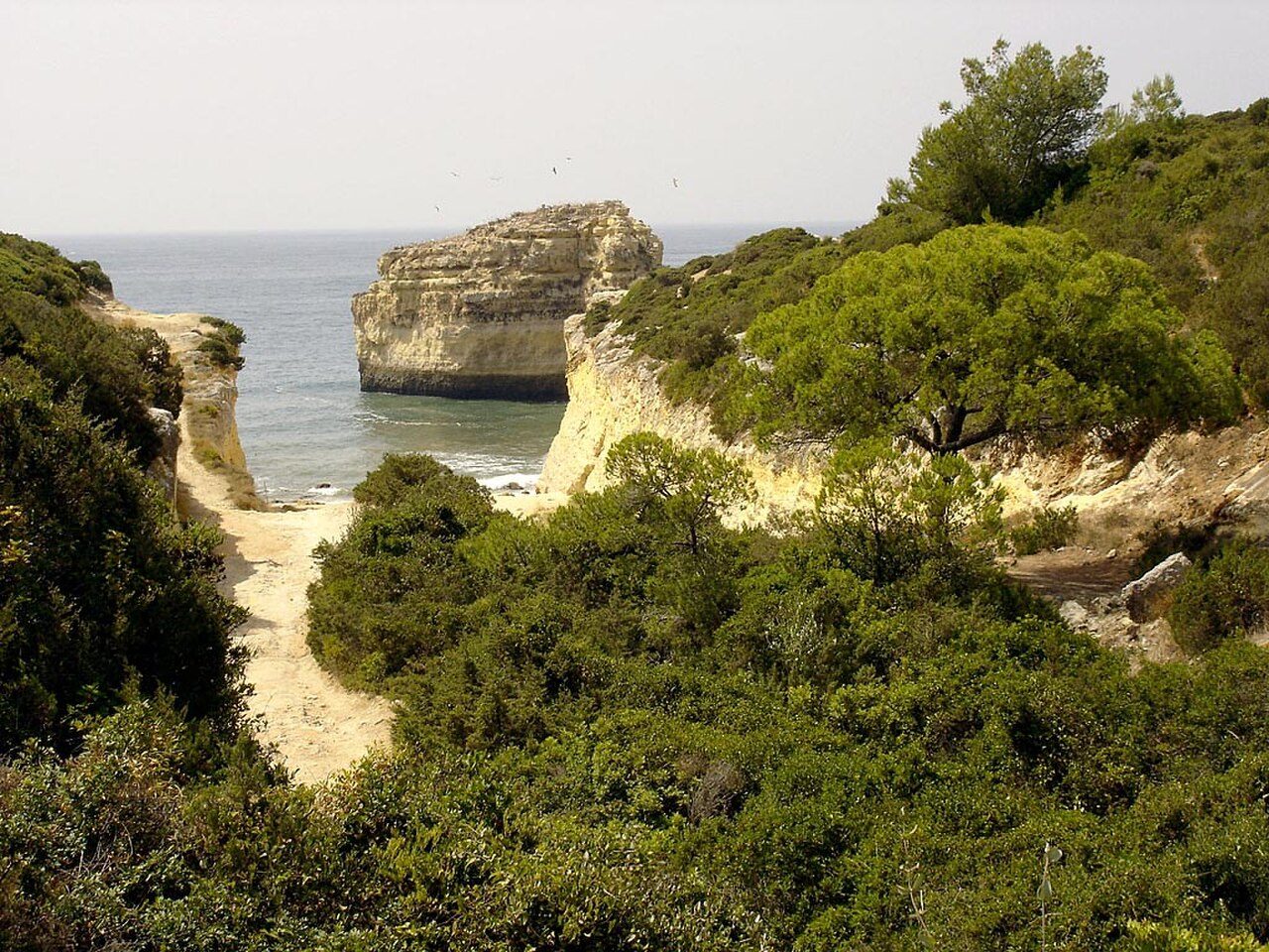 Praia do Barranquinho