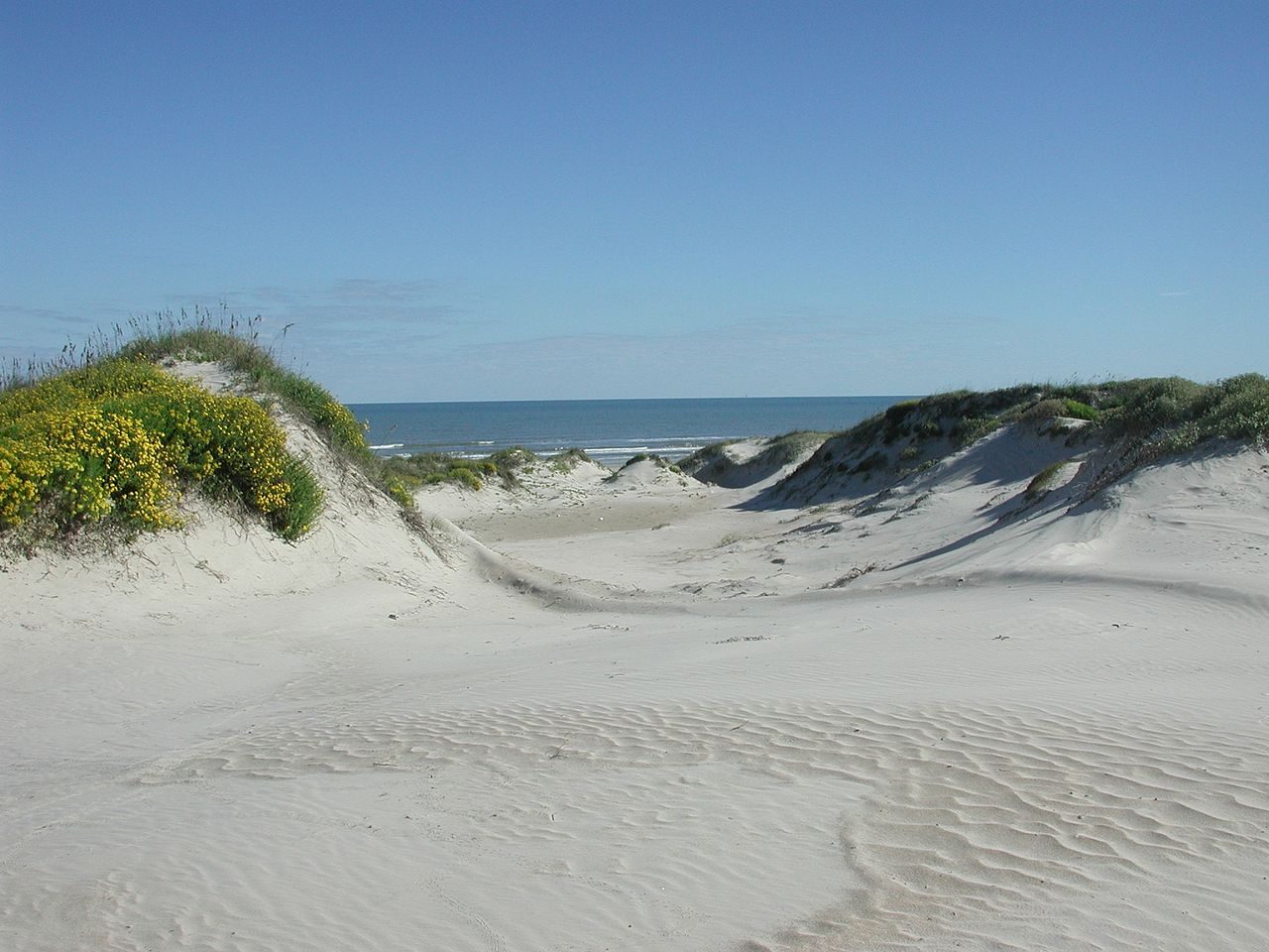 Padre Island