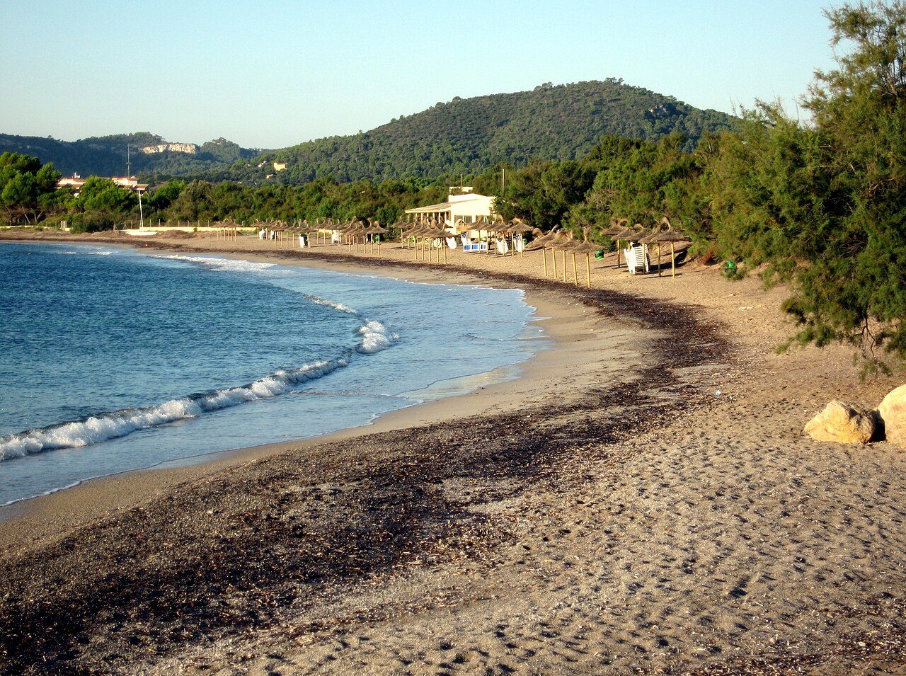 Sa Marjal