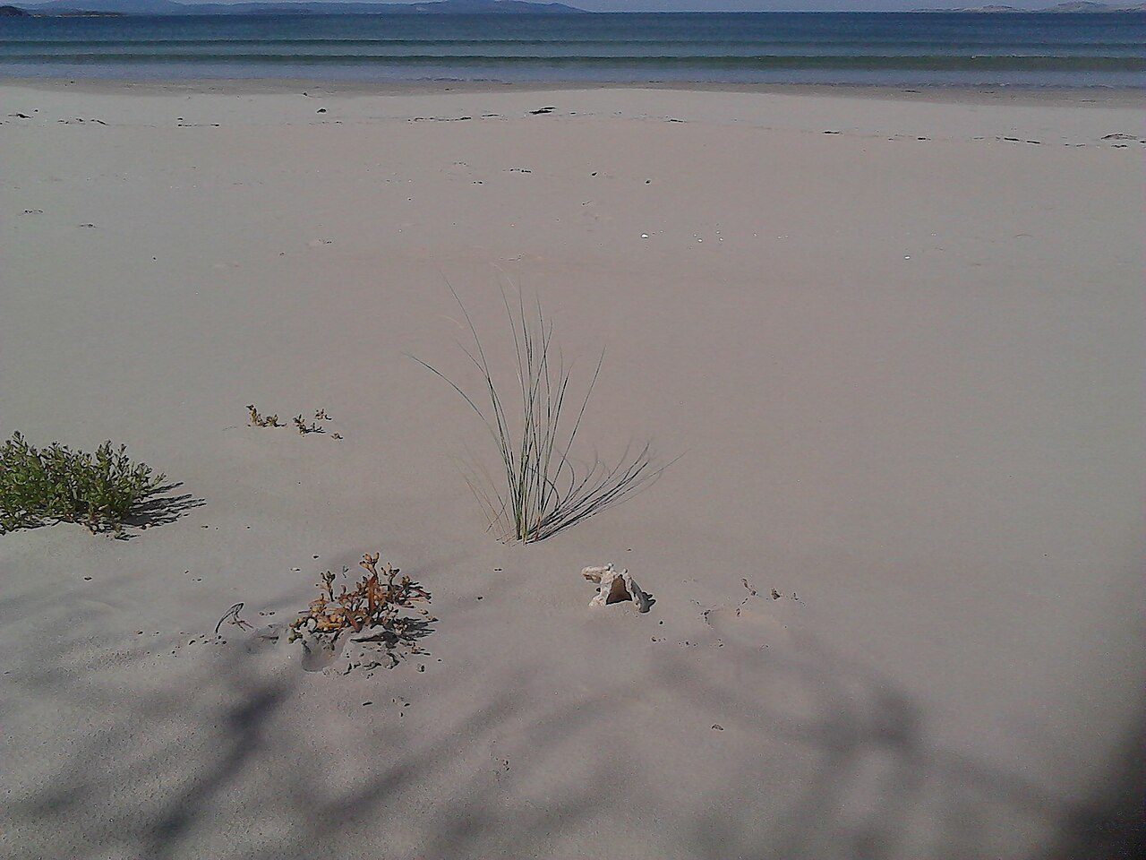 Seven Mile Beach