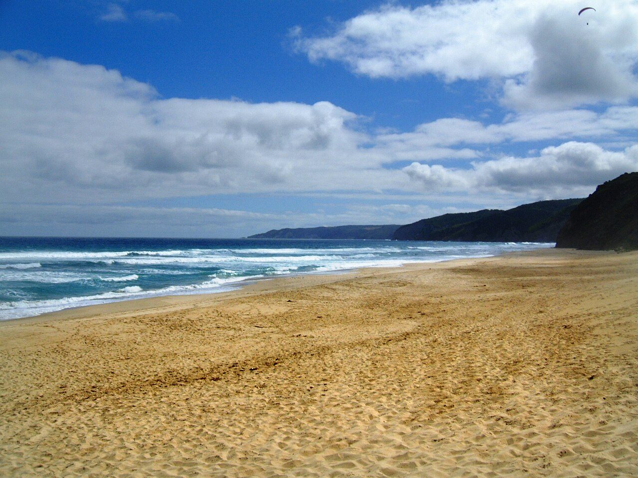 Shelly Beach