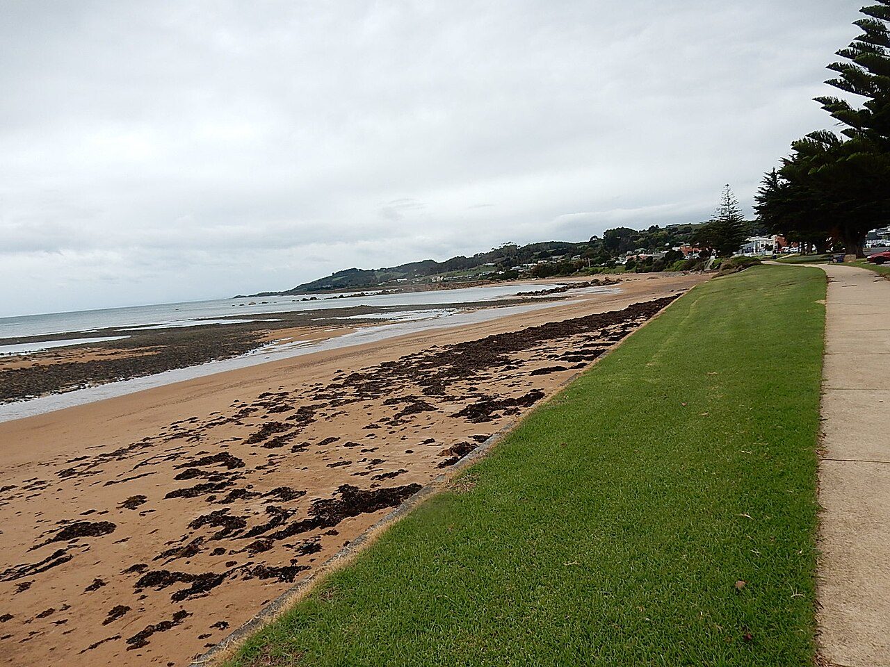 Penguin Beach