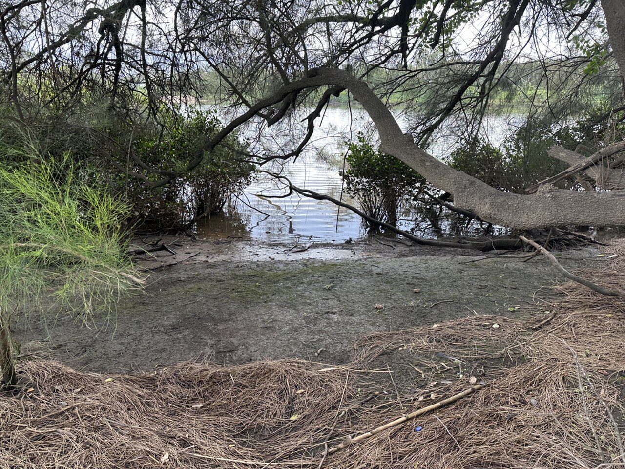 Backwater Beach