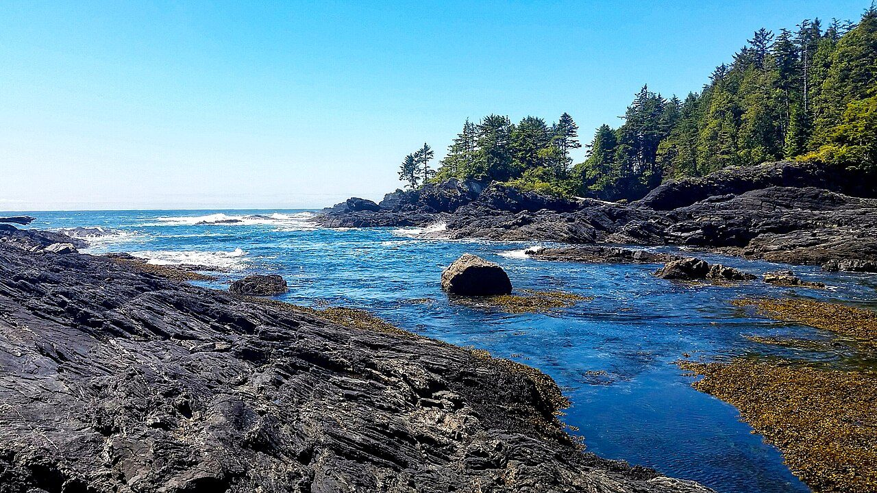 Botanical Beach