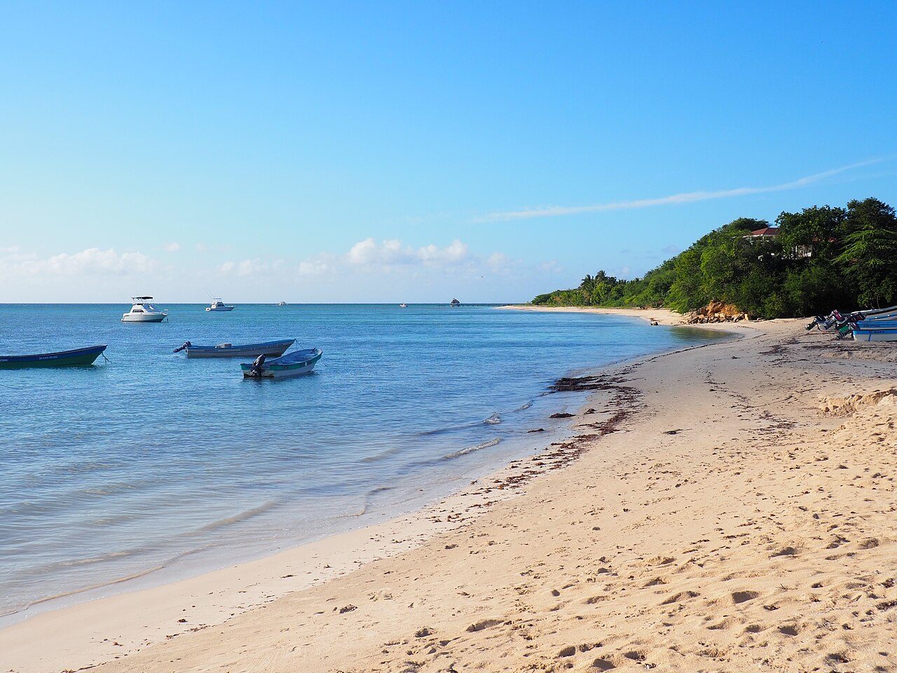 Playa Punta Rucia