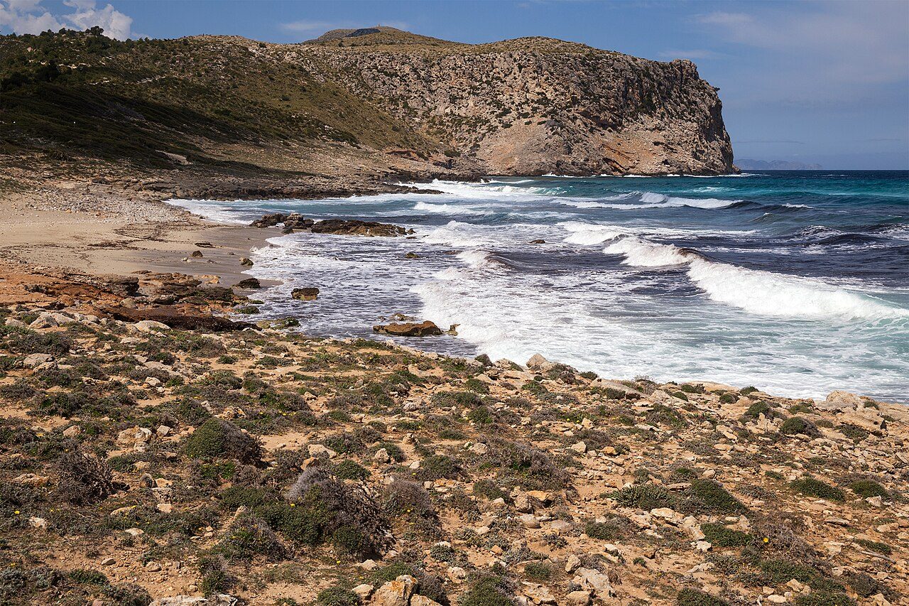 Arenalet del Verger